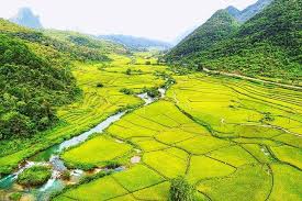 Cheap flight to your destination. Cheap Return Flights From Budapest To Hanoi Or Ho Chi Minh City From 342 Flightningdeals Com