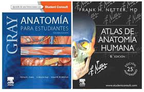 Issuu is a digital publishing platform that makes it simple to publish magazines, catalogs. Nuevas Ediciones Del Gray Y Netter Todo Lo Que Necesitas Sobre Anatomia