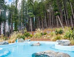 the best hot springs in new zealand south island walk my world new zealand south island hot springs south island