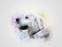 Dog Art Wallpapers Top Free Dog Art Backgrounds Wallpaperaccess Image about hand in art by naturelandscapelife. dog art wallpapers top free dog art