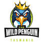 The Wild Penguin - Tasmania event image