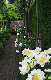 Amberley Open Gardens Beautiful Gardens White Gardens Garden Inspiration