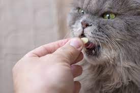 Using the palm of your hand, depress the plunger and vaccinate the cat. Vitamin B12 For Dogs And Cats