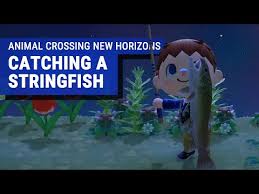 How To Catch A Crucian Carp | Crucian Carp Acnh | Crucian Carp Animal  Crossing New Horizons - Youtube