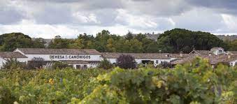 Check spelling or type a new query. Bodegas Dehesa De Los Canonigos Ribera Duero Ideavinos