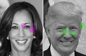 Could monkeys predict the U.S. election? | Science | AAAS