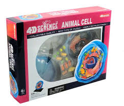 Animal cells lack the hard cell wall and chloroplasts that are present in plant cells. 4d Animal Cell Puzzle Fame Master