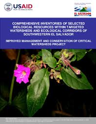 Image result for Crateva eminens