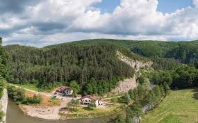 Șuncuiuș este o localitate în județul bihor, cu o populație de 1777 locuitori. Whz Lzbigbin2m