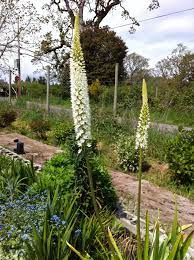 Low to high sort by price: Flower Power U Pick Thegardenerisin Twitter