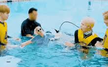 With tenor, maker of gif keyboard, add popular bts rookie king animated gifs to your conversations. Bts Rookie King Gifs Tenor