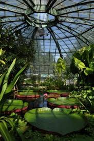 Botanischer Garten Der Universitat Basel In 2020 Botanischer Garten Garten Pflanzen