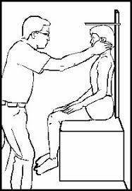 Image result for Sitting Height