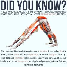 Pin By Racefan On Yoga Easy Yoga Workouts Relaxing Yoga Yoga Benefits