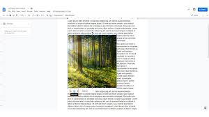 If you haven't inserted your image yet, place the cursor where you want it, click insert > image, and then choose the location of your image. How To Format Text In Google Slides Brightcarbon