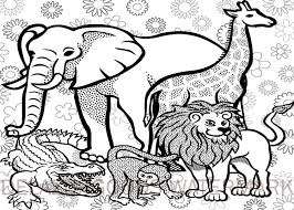 Animals Book Colouring Wallpaperwall Decalpeel Animal Coloring Pages African Animals Animal Book