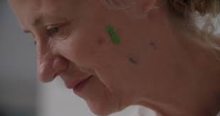 Ann Craven: In the Moonlight