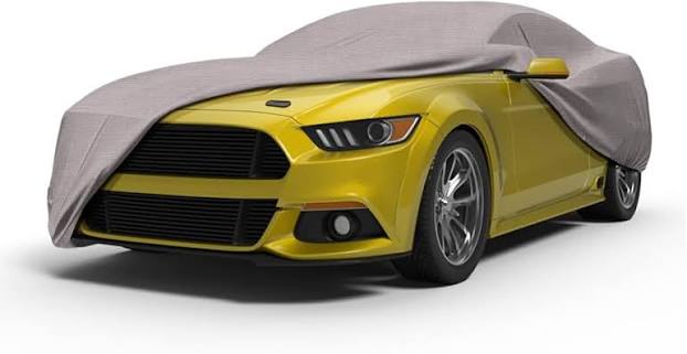 SealSkin ProGuard Car Cover 
