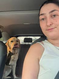 Found male yellow lab in Black Point neighbourhood