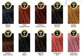 Paul Mitchell Bigen Color Chart In 2019 Hair Color