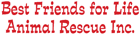 Please shorten it to 200 characters or less. Welcome To Best Friends For Life Animal Rescue Inc