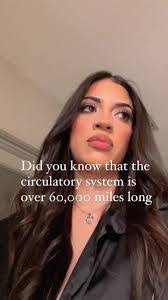 Jerilee Lamarche's Instagram, Twitter & Facebook