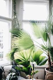 Ma Maison Scandinave Plant Tribe Un Nouveau Livre De Table Basse Inspirant In 2020 My Scandinavian Home Scandinavian Home Coffee Table Books