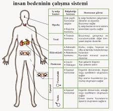 Cakralar Cakralar Nasil Acilir Cakrasi Acik Olanlar Cakra Nedir Cakralar Cakra Nasil Acilir Cakralar Pozitif Psikoloji Saglik