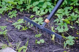Types Of Gardening Tools And Their Uses Agri Farming