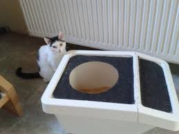 Here Are Instructions For This Super Handy Diy Cat Toilet Made From A Sortera Bin Koshachij Tualet Hakery Ikea Mebel Dlya Domashnih Zhivotnyh