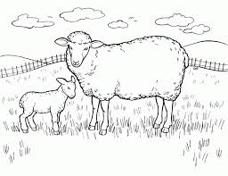 They're great for all ages. Free Printable Sheep Coloring Pages For Kids Farm Animal Coloring Pages Coloring Pages Coloring Pages For Kids