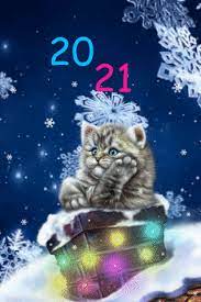 pin on cats illustration