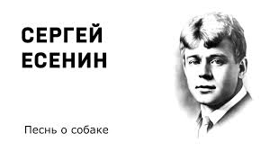 sergej esenin pesn o sobake uchit stihi legko audio stihi slushat onlajn youtube