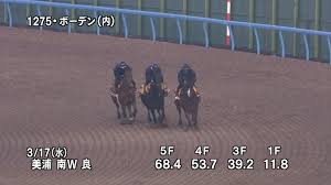 動物・野生生物 建物・都市 背景・テクスチャ ビジネス・金融 教育 食べ物・飲. Mwtao8 P8 Pkpm