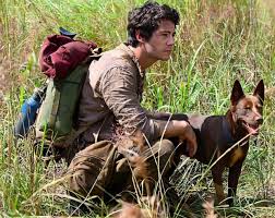 As joel realizes that there's nothing left for him underground, he decides against all logic to venture out to aimee, despite all the dangerous monsters that stand in his way. Love And Monsters 2020 Photo Gallery Imdb