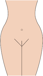 Pubic hairs hygiene is a part of female routine hygiene. File Pubic Hairstyle Full Wax Svg Wikimedia Commons