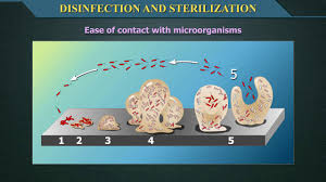 disinfection and sterilization