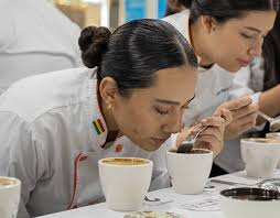 Cuellar Projects :: Photos, videos, logos, illustrations and branding ::  Behance