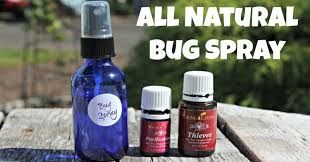 All Natural Bug Spray The Coconut Mama