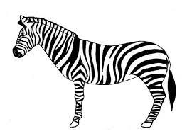 See more ideas about zebra drawing, zebra, animal art. How To Draw A Zebra Step By Step Easy Animals 2 Draw