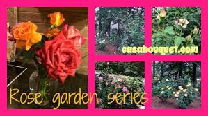 Maybe you would like to learn more about one of these? Rose Garden Series Planning Care Arrangement Casa Bouquet