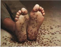 Jadi doktor akan sentiasa memantau keadaan jantung pesakit ketika rawatan. Rawatan Kesihatan Tanpa Ubat Bahan Kimia 5 Tips Elakkan Kena Kencing Manis Diabetes