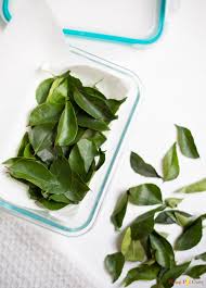 The leaves have been described as earthy, floral. Aromatic Curry Leaves How To Buy Use Store Piping Pot Curry