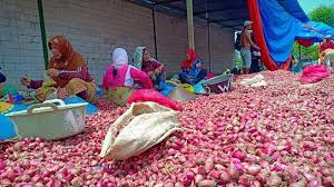 Sedangkan untuk harga cabe merah tw rp30 ribu per kilogram diharga normal, ucap dedeh, selasa (23/4/2019). Harga Bawang Merah Meningkat Peniaga Menjerit Malaysia News