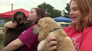 Maybe you would like to learn more about one of these? Emancipet Low Cost Killeen Vet Clinic Affordable Spay Neuter