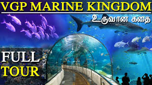Vgp Marine Kingdom At Chennai India First Underwater Aquarium Chennai Full Tour In Tamil Youtube