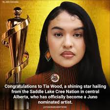 You can order here:  https://powwow-native.com/collections/shoes/products/sgesvier-spring-autumn-fashion-large-size-34-43-embroider-flock-lace-up-ankle-boots-woman-sewing-low-heel-colorful-women-shoes?variant=1000010966588977  @mọi người