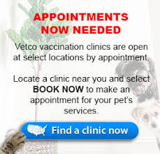 Helps pet owners in underserved areas with a variety of services and assistance programs from handing out free pet food to basic veterinary care and more! Low Cost Mobile Pet Vaccination Clinics Animal Hospitals And Pet Meds Vetco At Petco