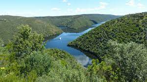We did not find results for: Espacios Naturales Protegidos En Extremadura Extremadura Empresas