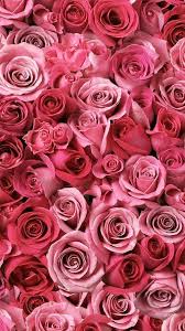 Kartinka Najdeno Polzovatelem Decor Victoria Nahodite I Sohranyajte Svoi Sobstvennye Izobrazheniya I Vid Beautiful Pink Roses Rose Wallpaper Flower Wallpaper